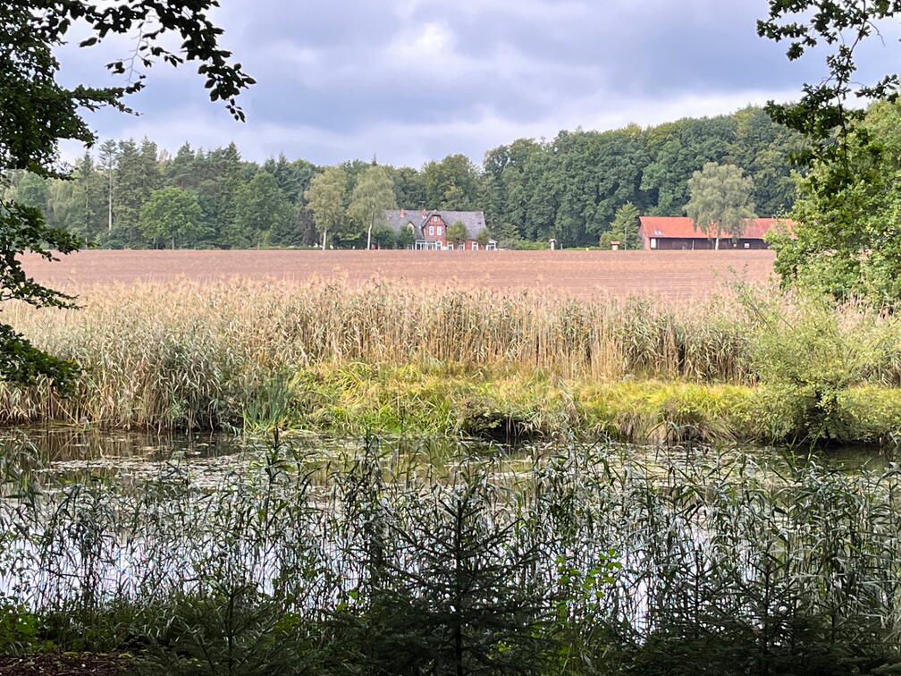 23-09-22 11-03-19 7233